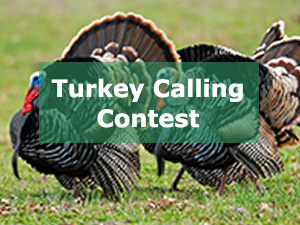 Turkey Calling Contest